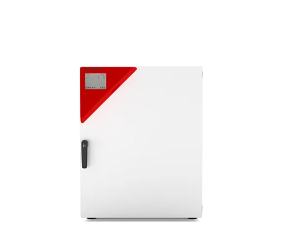 Incubateur CO2 Binder série CB de 170 litres pour la culture cellulaire avec contrôle actif de l'humidité.