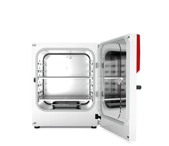 Binder CB-S 260 CO2 incubator voor celkweek met open deur