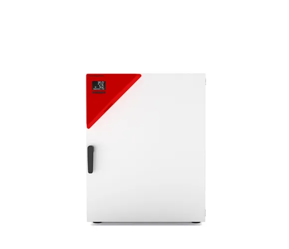 Incubateur CO2 Binder solid.line de 170 litres pour la culture cellulaire avec bac à humidité.