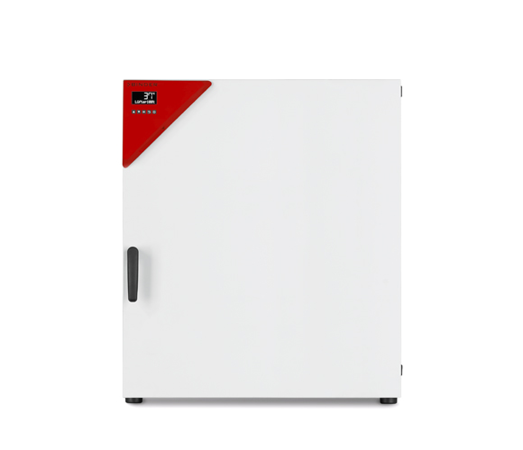 Binder laboratory BD 260 or BF 260 incubator 253 liter for microbiology
