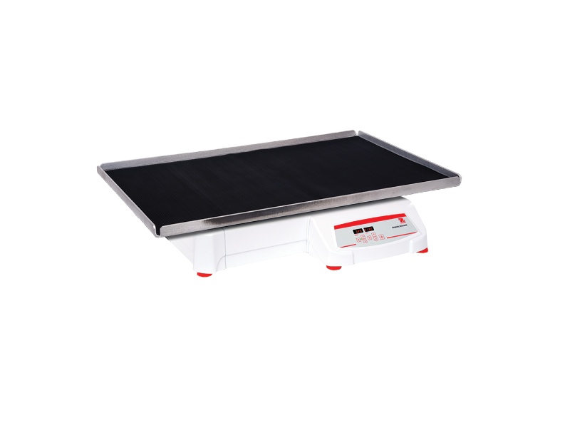 SHHD6850DG ohaus laboratory heavy duty shaker