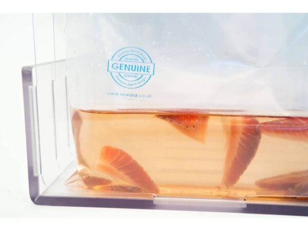 Stomacher 400 Classic closure bags for secure, contamination-free laboratory blending with sample