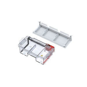 Jeiotech EP-05 compact gel electrophoresis system for small DNA sample analysis