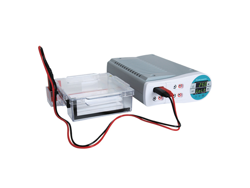 Jeiotech electrophoresis equipment for agarose and polyacrylamide gel runs