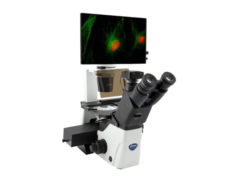 Optika IM-300LD4D microscope inverse numerique fluorescence LED
